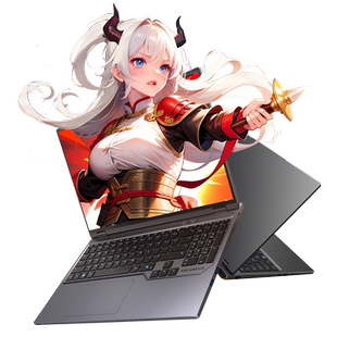 蛟龙16pro MECHREVO 机械革命 极光X RTX5060游戏本 RTX4060