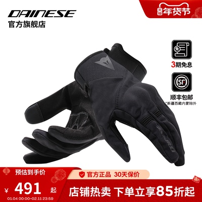 丹尼斯摩托车骑行手套冬季骑士