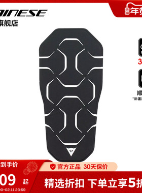 DAINESE/丹尼斯CORE BACK PROTECTOR 滑雪护具护背滑雪装备