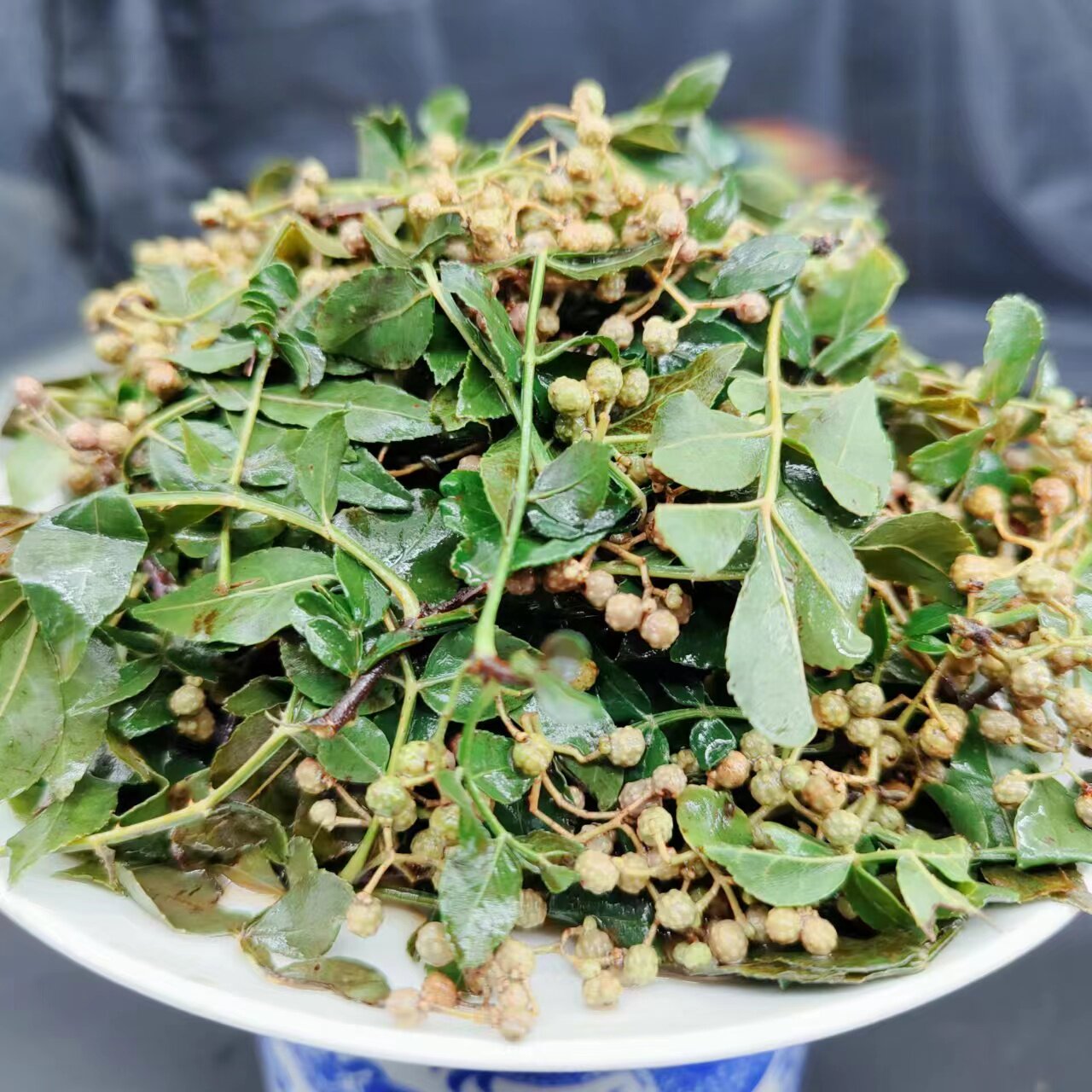 麻椒咸菜临朐当地小叶麻椒咸菜爽口下饭沂蒙山特产下饭菜