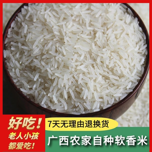 瑶自然广西2025年不抛光长粒香软糯早稻1kg2.5kg10斤农家猫牙新米