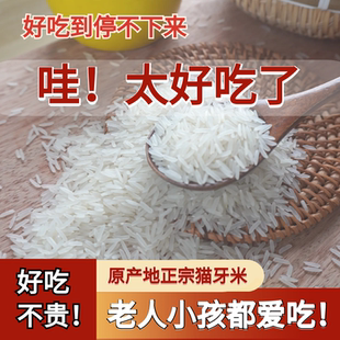 瑤自然2024年農家新大米廣西自產長粒香軟糯不拋光5kg袋10斤秈米