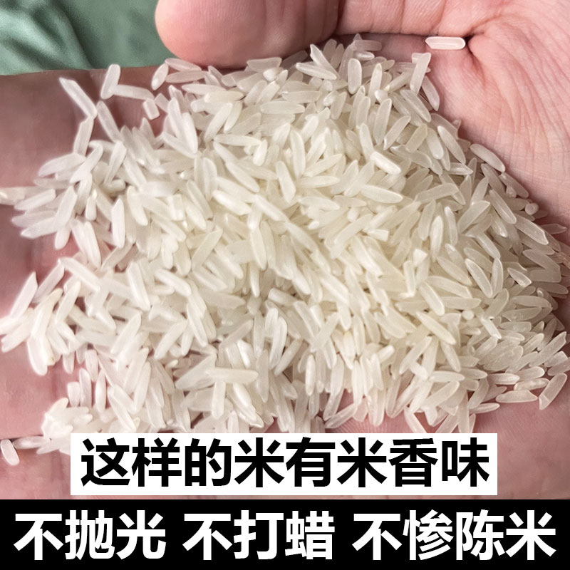 瑶自然广西2025年不抛光长粒香软糯早稻1kg2.5kg10斤农家猫牙新米
