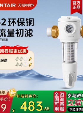 滨特尔前置过滤器大流量全屋自来水家用正反冲洗净水器B140