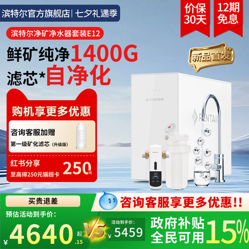 滨特尔净水器E12净矿一体机1400G