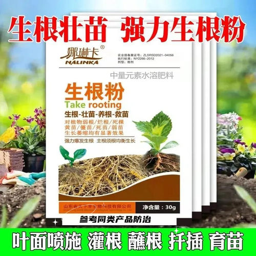强力爆发生根移栽扦插育苗通用