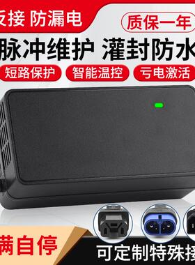 适用于雅迪电动车电瓶48V60V72V石墨烯铅酸电池 新国标智能充电器