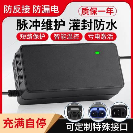 适用于雅迪电动车电瓶48V60V72V石墨烯铅酸电池 新国标智能充电器