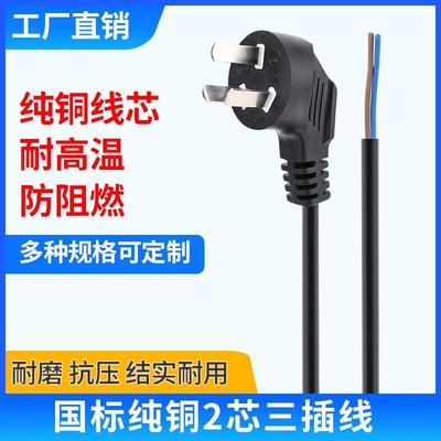 三插头电线2芯带插头软线1平方插头带线二芯纯铜线吹风机暖风机线