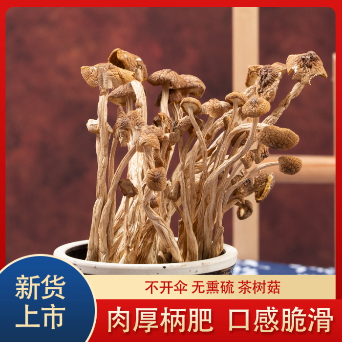 新货农家茶树菇干货不开伞500g香菇古田茶树菇菌煲汤干菇食材