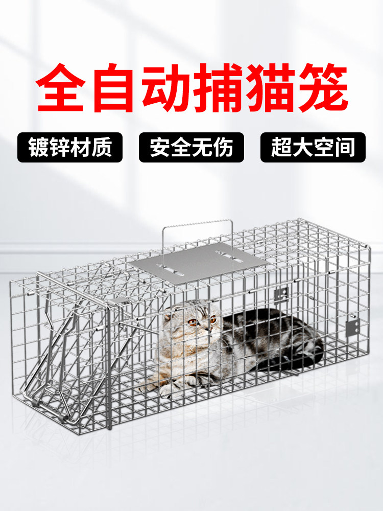 전자동 고양이 잡기 케이지 특수 고양이 잡기 케이지 대형 고양이 잡기 케이지 고양이 잡기 유물 고양이 잡기 고양이 함정 야생 고양이 잡기 클립