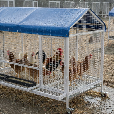 防雨鸡笼舍自动清粪家用加密铁丝网室内养殖防黄鼠狼新型大号养殖