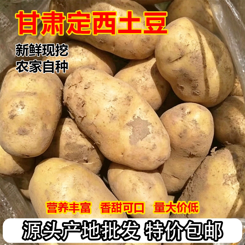 正宗甘肃定西土豆10斤批发新鲜现挖洋芋头农家自种马铃薯当季蔬菜