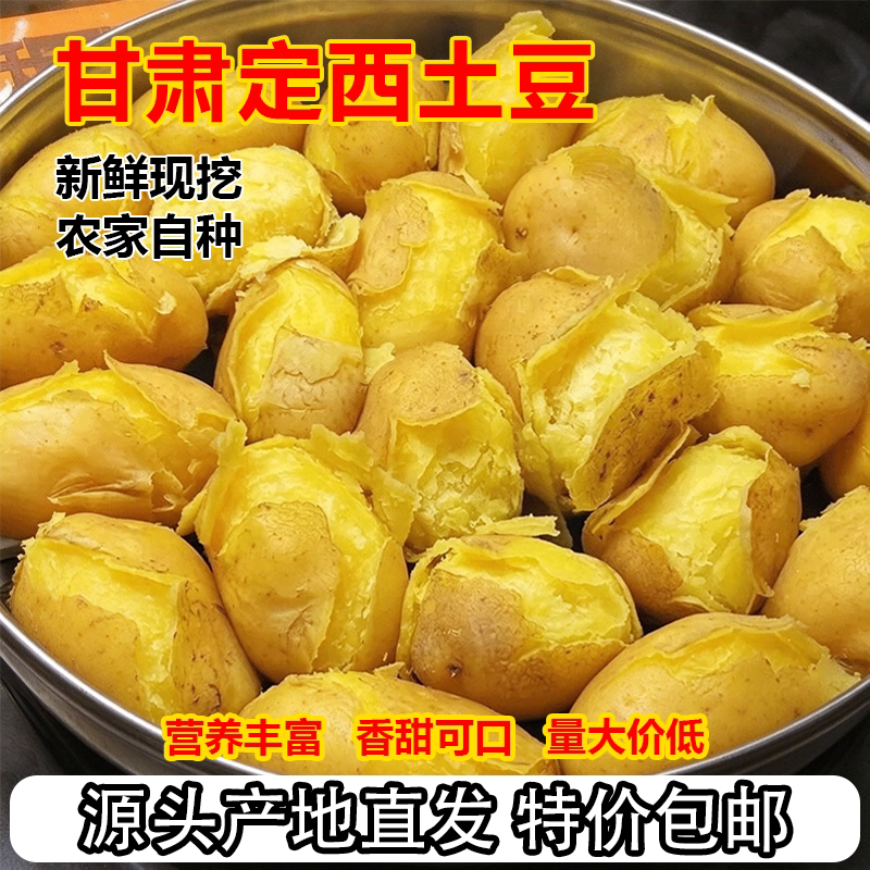 正宗甘肃定西土豆新鲜现挖洋芋头