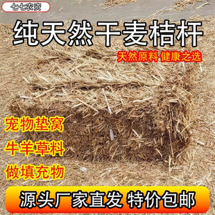 小麦秸秆宠物鸡窝草牛羊食料干麦秸装饰填充狗鸭窝草道具饲料原料