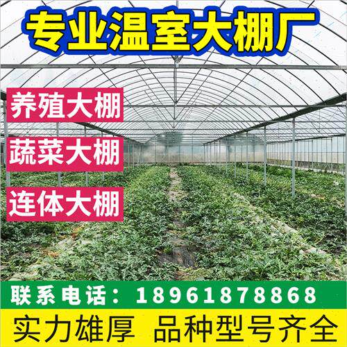 大棚钢管骨架连栋温室种植养殖大棚椭圆管牛羊圈猪舍鸡棚全套架子