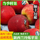 鲜果小苹果顺丰 包邮 新西兰进口丹烁苹果 Dazzle新鲜水果当季