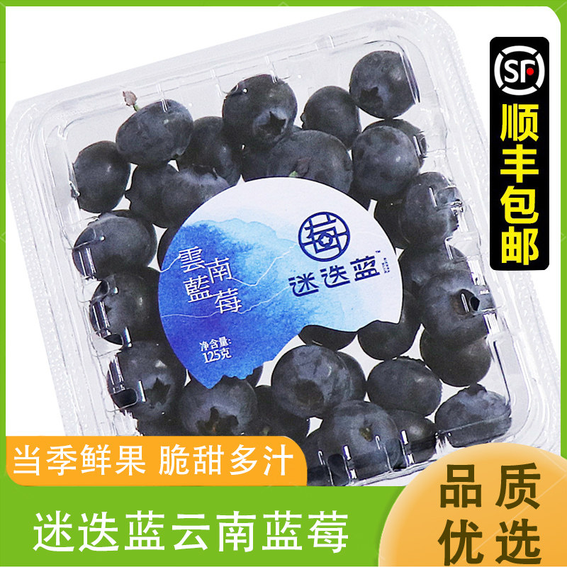 迷迭蓝蓝莓鲜果新鲜水果怡颗大蓝梅孕妇云南水果一颗莓顺丰包邮,水产肉类/新鲜蔬果/熟食,蓝莓,淘宝优惠券,粉丝福利购,淘宝优惠卷