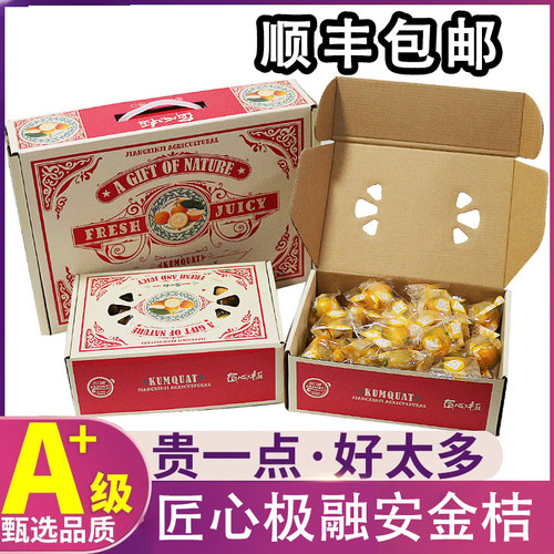 广西融安匠心极金桔脆皮小金桔