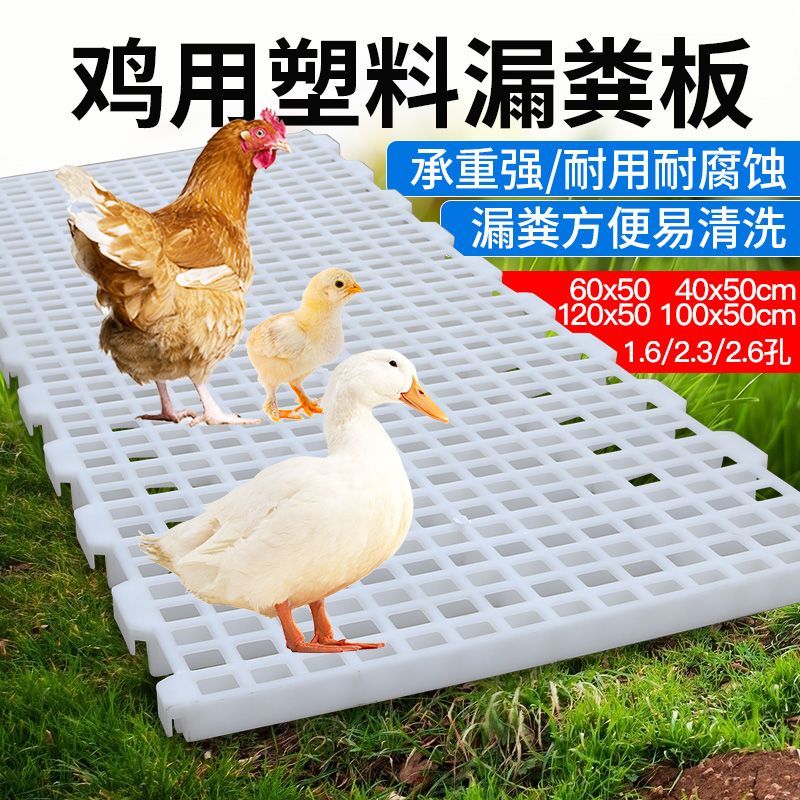鸡用塑料漏粪板鸡鸭鹅地