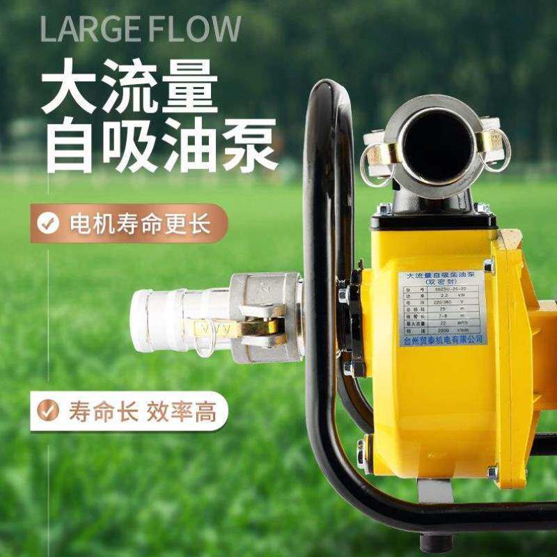 加油站地下罐油罐车大流量柴油植物油白油导油泵