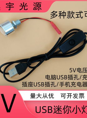 5VLED小灯泡USB接口灯充电宝供电手工台灯创意带开关迷你3W小夜灯