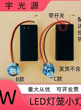 3VLED电池灯笼灯泡 3W灯珠手工创意模型实验节日游神板龙小夜灯泡