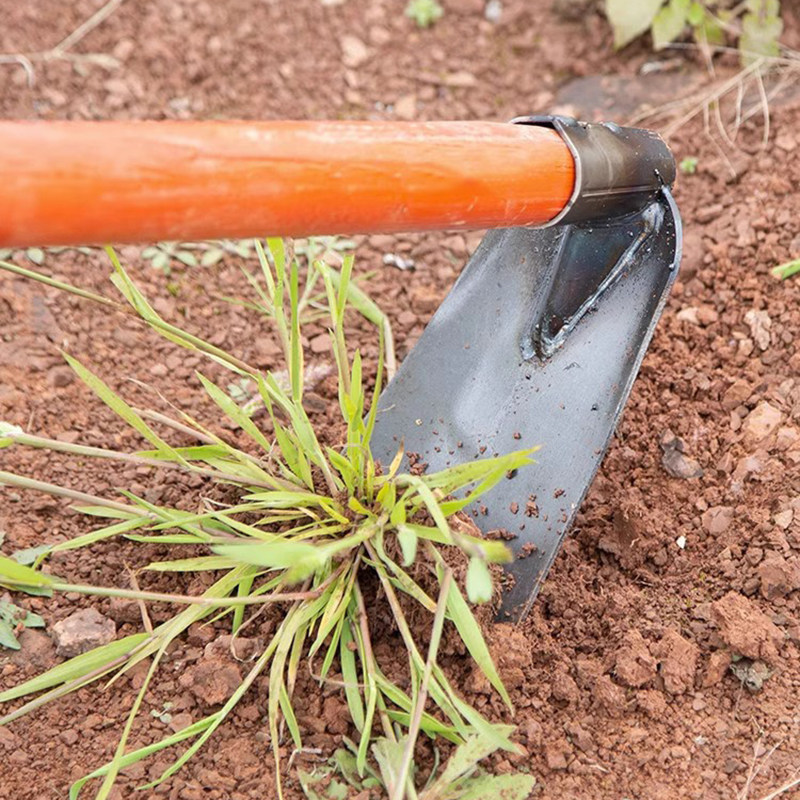 农具锰钢锄头除草种菜家用种花锄小锄头翻地松土户外便携锄草神器_虎窝淘
