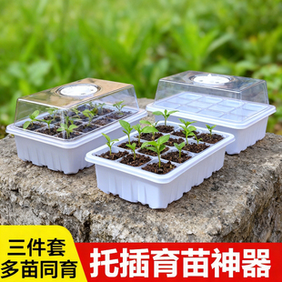 多肉叶插育苗盆三件套培养播种盒保湿温育苗盘12孔塑料育苗盒盖