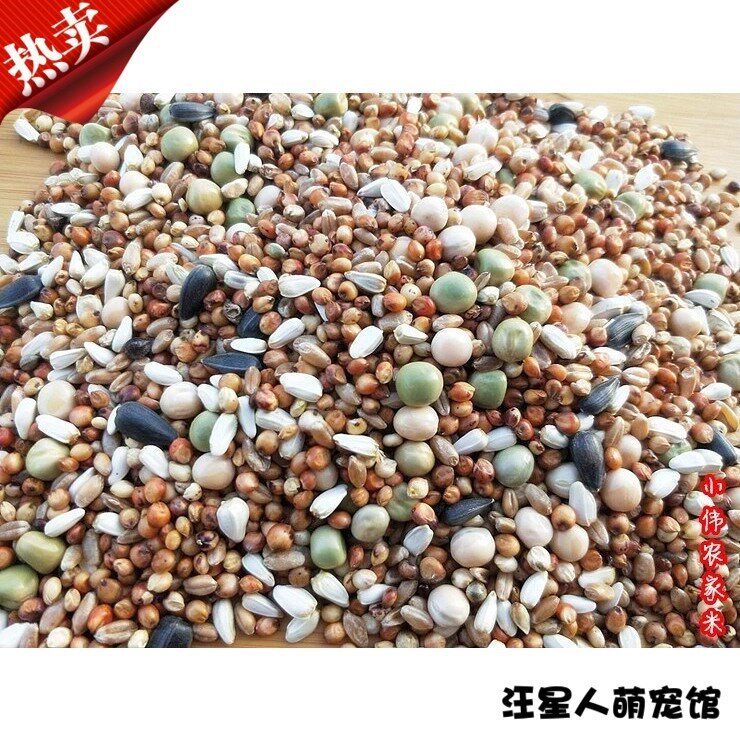 10斤鸽子粮无玉米鸽饲料粮食营养鸟食信鸽观赏鸽肉鸽幼鸽成鸽粮|msdalam kategori peralatan pejabat/Supplies/Perkhidmatan yang berkaitan, Packaging Equipment/Tanda-tanda dan bekalan, beg Parcel/beg - dari Buy2taobao.com untuk memberikan perkhidmatan ejen Taobao profesional membeli