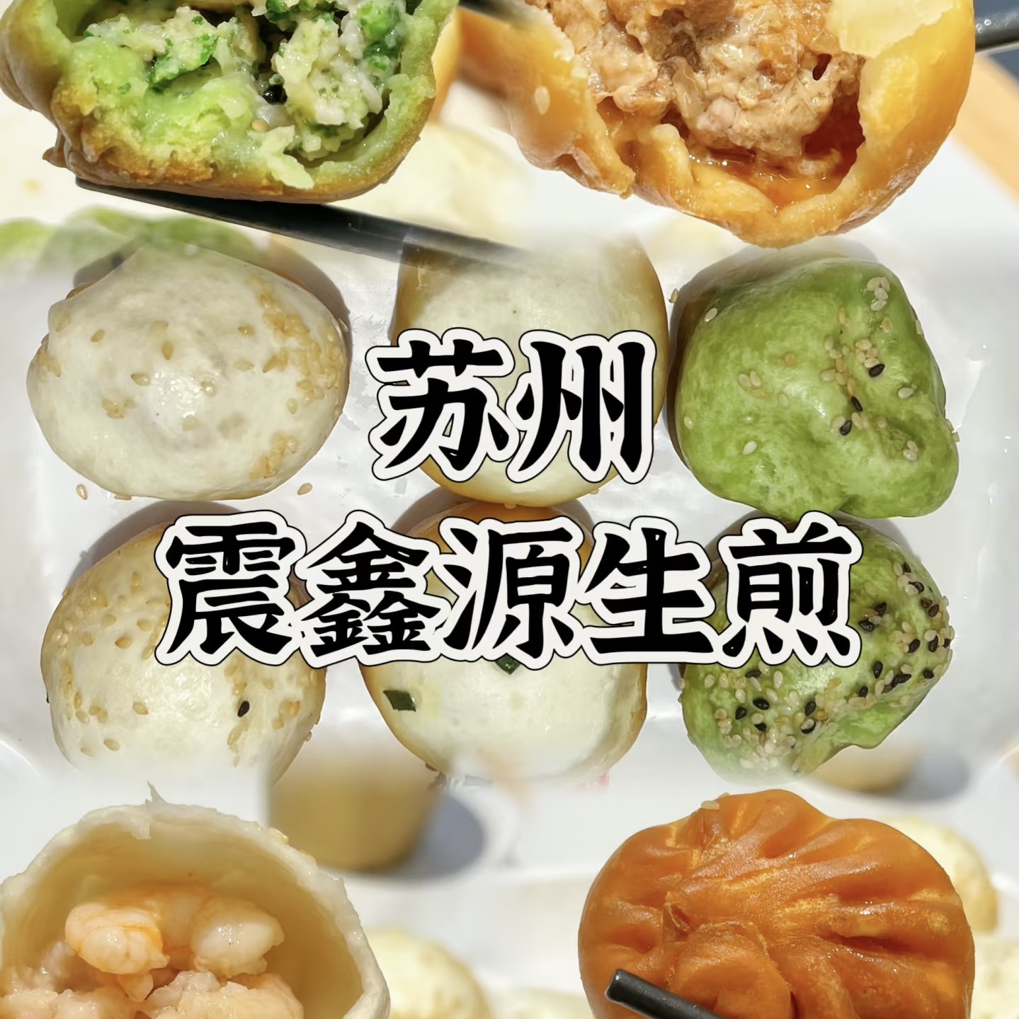 苏州特色鑫震源烧麦纸皮烧麦特色水煎包龙虾煎包芝士烧麦早餐速食