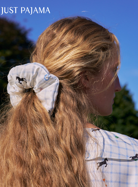 新年礼物】Not Just Pajama Pony小马系列真丝幸运符发圈礼盒