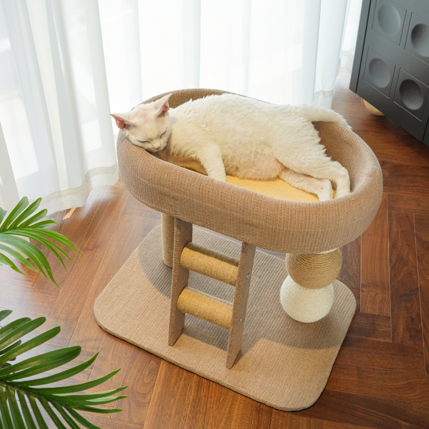 猫爬架猫窝一体小户型架子猫抓板图片