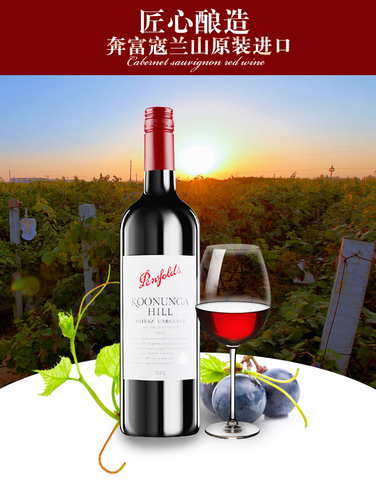 奔富寇兰山葡萄进口