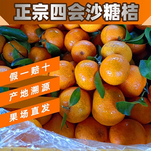 【顺丰】正宗广东四会沙糖桔整箱无籽多汁纯甜超新鲜水果现摘现发