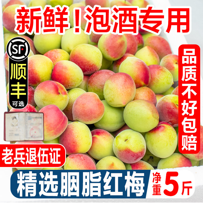 新鲜胭脂梅现摘诏安青梅鲜果高山野生红梅泡酒酵素生酸脆梅子5斤