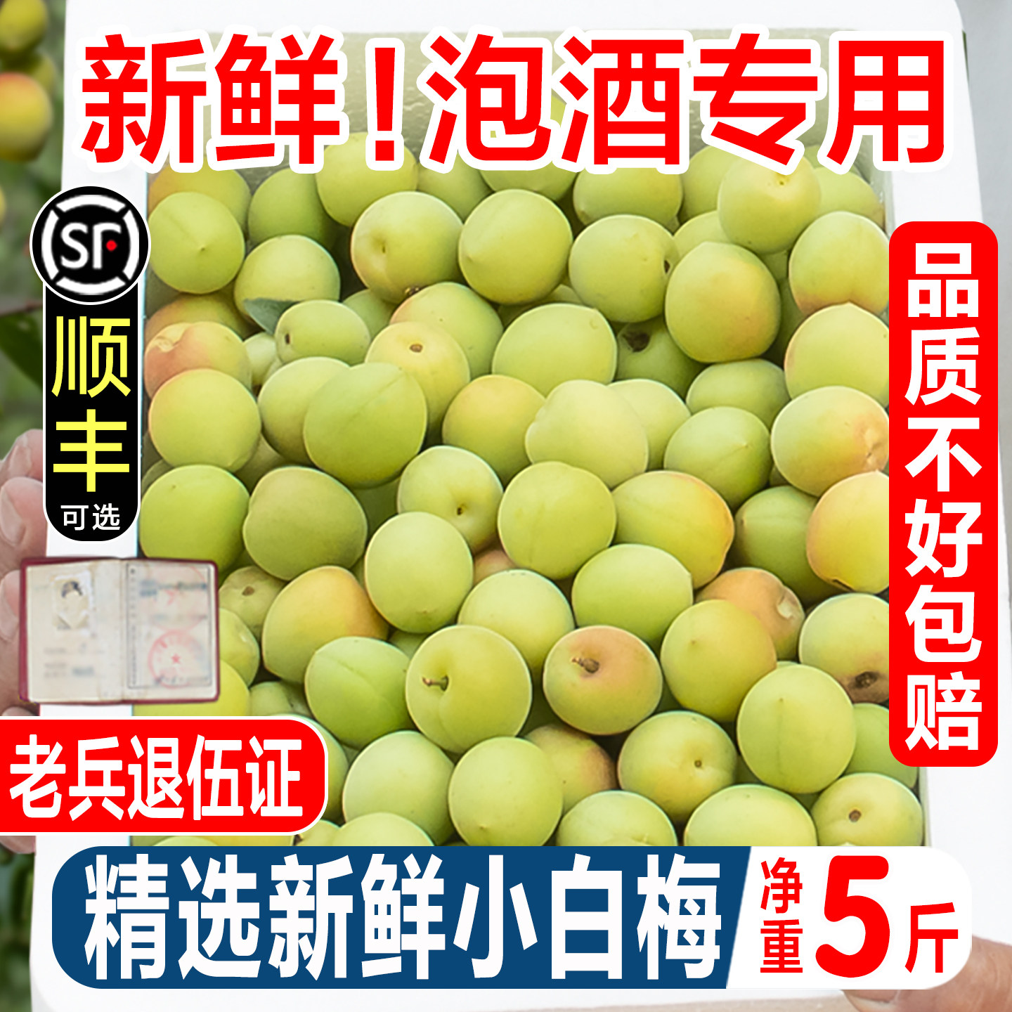 现货青梅鲜果诏安野生小白梅5斤青梅鲜果泡酒腌制酵素酸孕妇水果