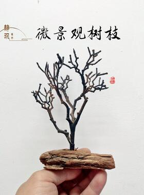 桌面微景观摆件仿真小枯树枝树杈盆景枯竹鱼缸水族枯山水摆景装饰