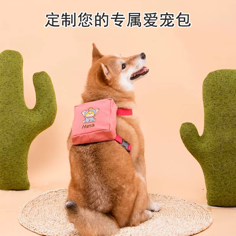 Backpack with leash, school bag to go out