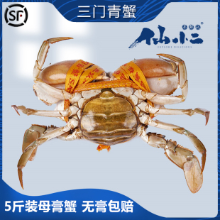 红鲟猷蠓 三门青蟹 酱非黄油蟹 超大螃蟹 大红母膏蟹5斤 鲜活特大