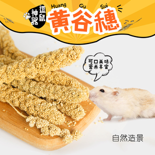 笑笑家仓鼠黄谷穗谷物逗鼠棒造景玩具小鸟谷穗营养用品磨牙小零食