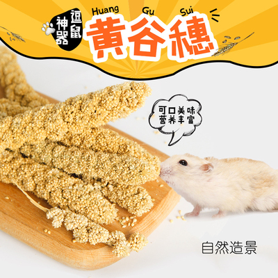 笑笑家仓鼠黄谷穗谷物逗鼠棒造景玩具小鸟谷穗营养用品磨牙小零食