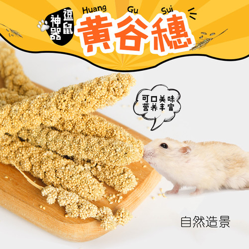 笑笑家仓鼠黄谷穗谷物逗鼠棒造景玩具小鸟谷穗营养用品磨牙小零食