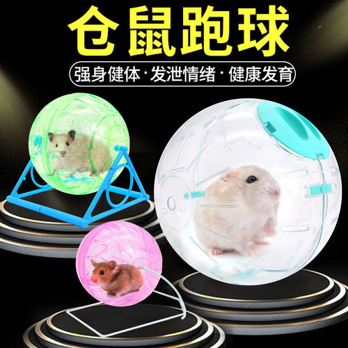 跑球玩具仓鼠玩具笑笑家特价
