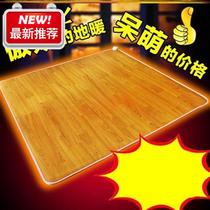 。暖冬阳a石墨烯电热地毯供暖家用客厅卧室远红外发热膜电取暖毯