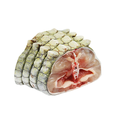 新鲜鳄鱼肉当天现杀顺丰空运包邮