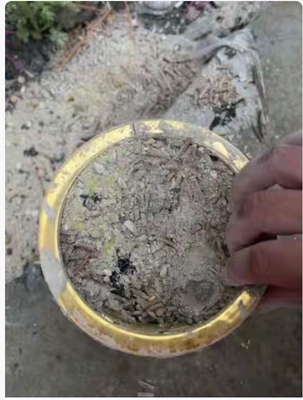 财神殿香灰粉香道灰香炉灰牙灰打香丹东大孤山家用手炉香道用品