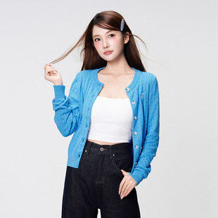 BUBBLELEY 秋季孔雀蓝慵懒风毛衣圆领外套刺绣针织显瘦休闲开衫女