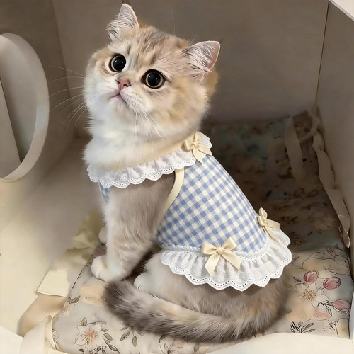 猫咪衣服春夏季薄款背心防掉毛