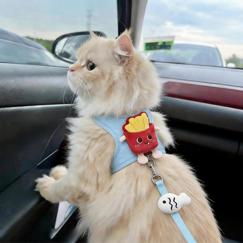 猫咪胸背牵引绳可调节防挣脱